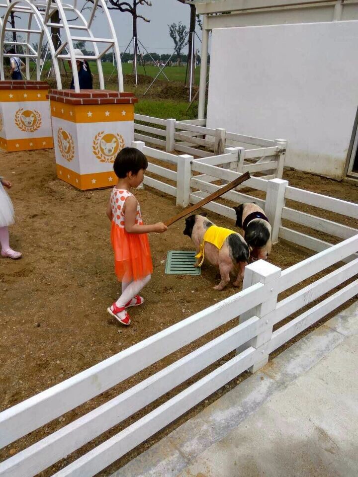 2121非凡·(中国游)体育官方网站