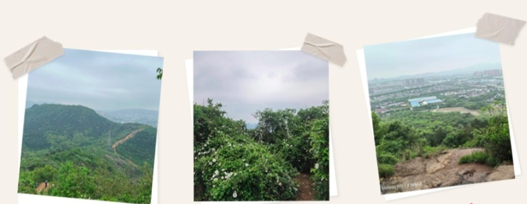 2121非凡·(中国游)体育官方网站